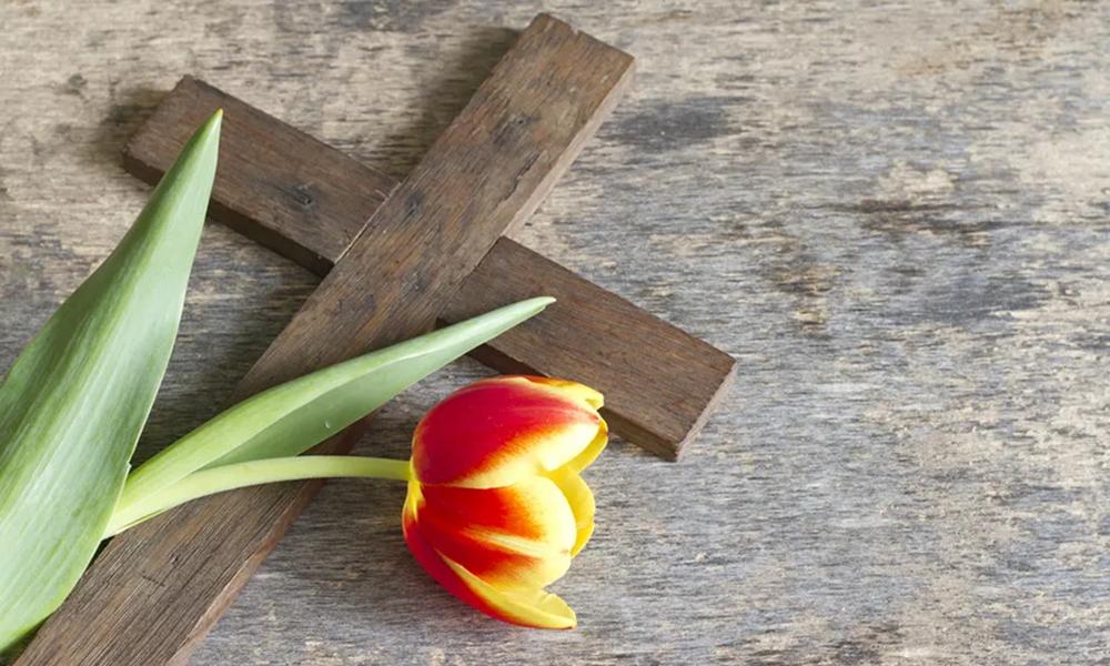 Easter Cross and Tulip